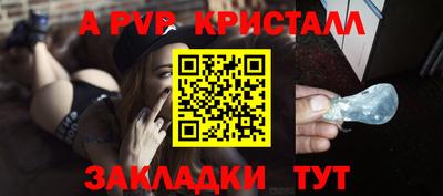 индика Гусев