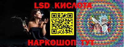 индика Гусев