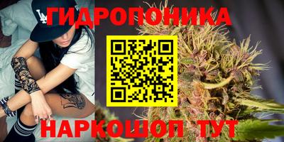 индика Гусев