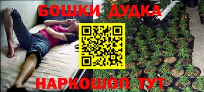 индика Гусев