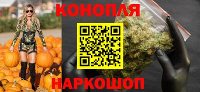 индика Гусев