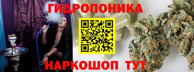 индика Гусев