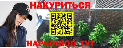 индика Гусев