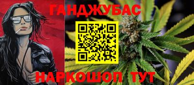 индика Гусев