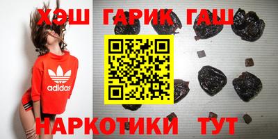индика Гусев
